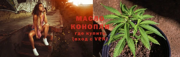сатива Козловка
