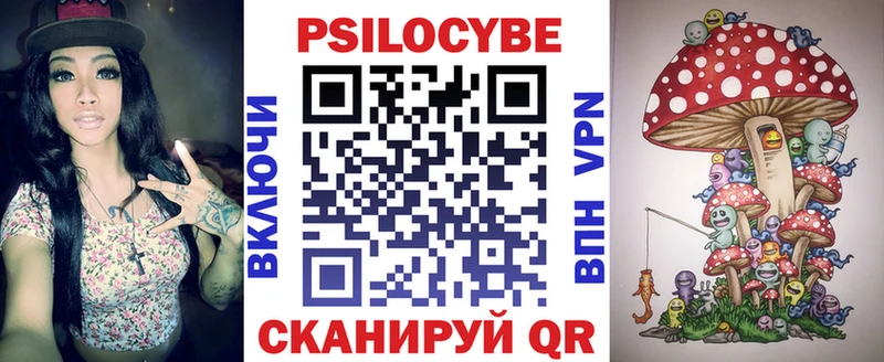 Купить где  Спас-Деменск  Псилоцибиновые грибы Psilocybe 